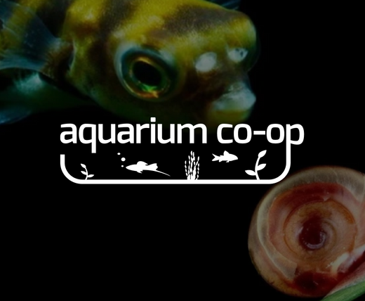 157% Increase in Revenue Over 3 Year Partnership