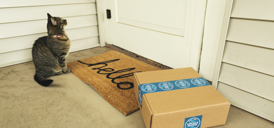 8 Reasons Why People Use Subscription Services