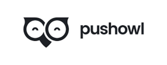 How PushOwl Is A Must-Have Addition To Your Shopify Store