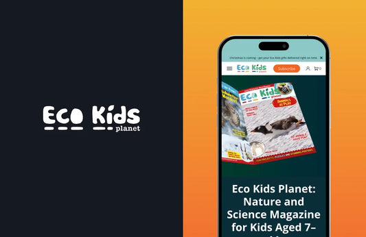 54% Increase in Revenue with a Growth Partnership