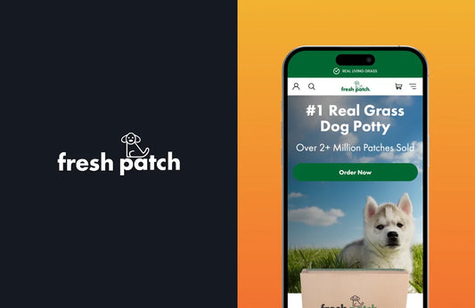 180% Increase in Subscription Revenue