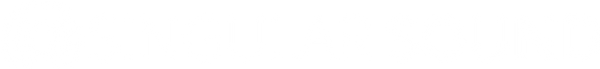 Singular Sound logo